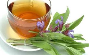 Zbog čega čaj od žalfije ne treba često konzumirati